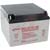 EnerSys - NP24-12B - Bolt Fastened 24Ah 12VDC Lead Acid Rectangular Rechargeable Battery|70111510 | ChuangWei Electronics