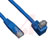 Tripp Lite - N204-010-BL-DN - Tripp Lite 10ft Cat6 Gig Right Angle Down to Straight Patch Cable Blue 10'
