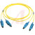 TE Connectivity - 2061316-2 - Single Mode OS1 Connector B: SC Connector A: SC 2m Fibre Optic Cable Assembly|70299266 | ChuangWei Electronics