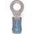 TE Connectivity - 36160 - Stud Sz 10 Blue 16-14AWG Ring Tongue Terminal|70083965 | ChuangWei Electronics