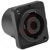 Amphenol Audio - SP-2-MD - 133V 30A 2 Pole Black SP Series Thru-Hole Speaker Jack Conn|70400448 | ChuangWei Electronics