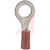 TE Connectivity - 34150 - STUD SZ 1/4 RED 22-16AWG RING TONGUE TERMINAL|70084080 | ChuangWei Electronics